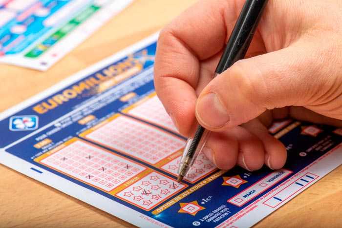 Французская лотерея euromillions and my million raffle