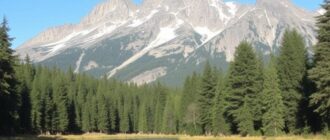 До парка/заповедника: маршруты и советы — как выбрать путь, чтобы природа стала вашим компасом