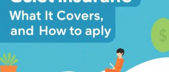 Страхование гостей: что покрывает и как оформить — подробное руководство для организаторов мероприятий