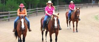 Конные прогулки: организация и стоимость — как выбрать маршрут, лошадь и не переплатить за удовольствие