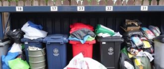 Раздельный сбор мусора: как и где сдавать отходы