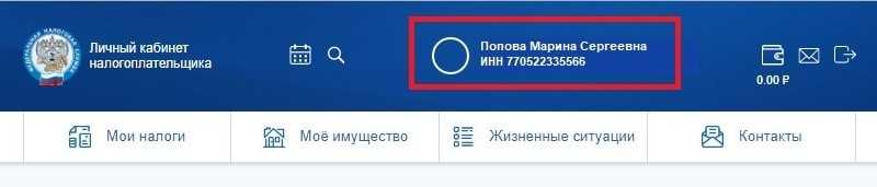 Система налогообложения в сша в 2020 году